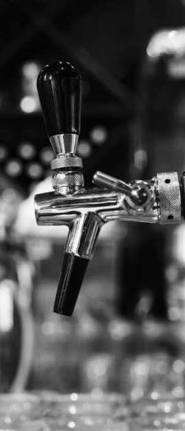 nos tomamos la cerveza wiser brewing